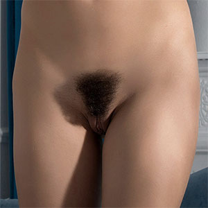 Stephania A Nice Hairy Bush