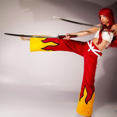 Erza Fairy Tale Cosplay