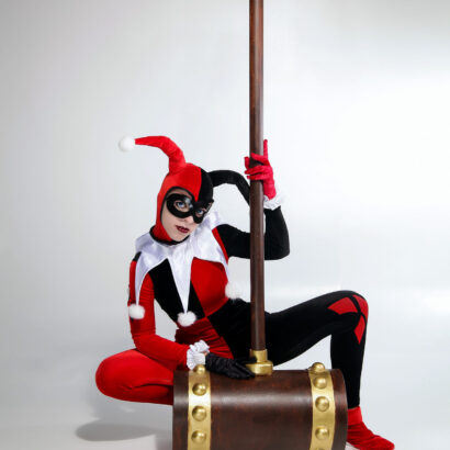 Harley Quinn Batman Cosplay Mate