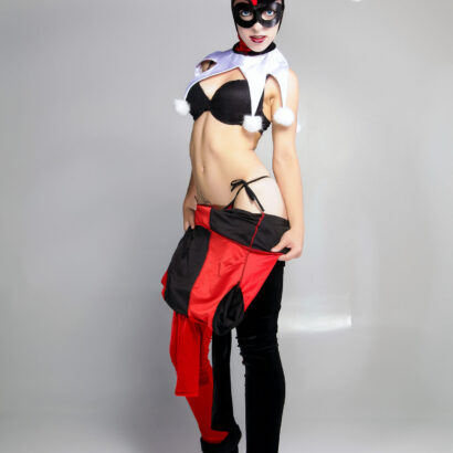 Harley Quinn Batman Cosplay Mate