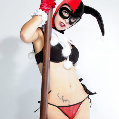 Harley Quinn Batman Cosplay Mate