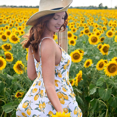 Red Fox Sunflower Fields The Emily Bloom