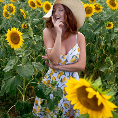 Red Fox Sunflower Fields The Emily Bloom