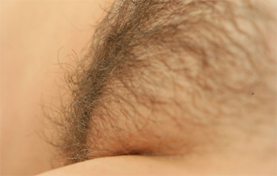 Primrose Abby Winters Hairy